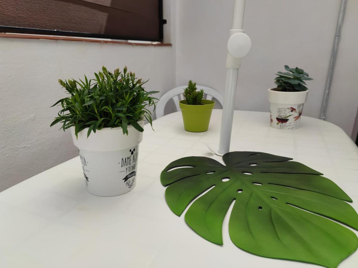 Encantadora Casa Con Patio ロンダ エクステリア 写真